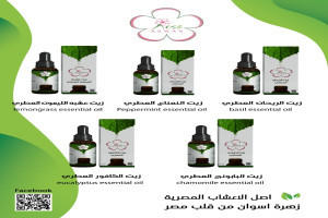  https://www.roseaswan.com/storage/roseaswan